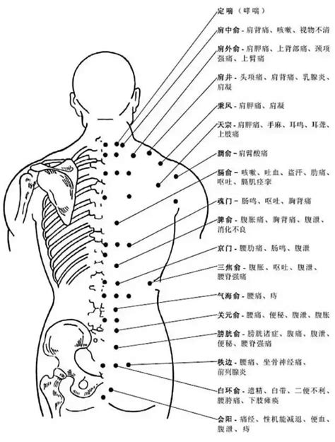 脖子解說